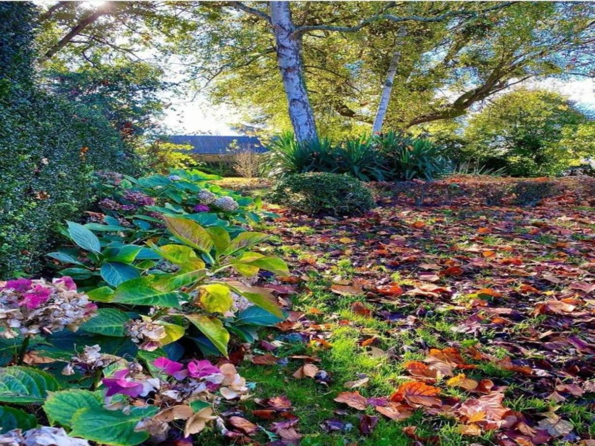Modern Cottage In Normandy With Large Garden Isigny-le-Buat ภายนอก รูปภาพ